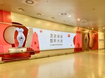 china-marketing-blog-swatch-rat-hongqiao